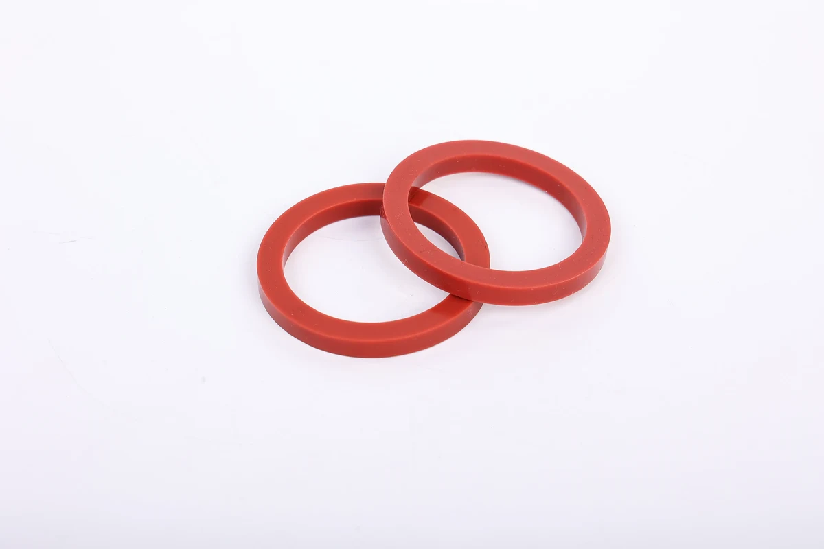 FKM / Viton Gaskets