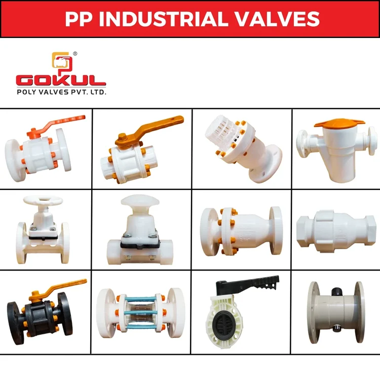 Polypropylene (PP) Products