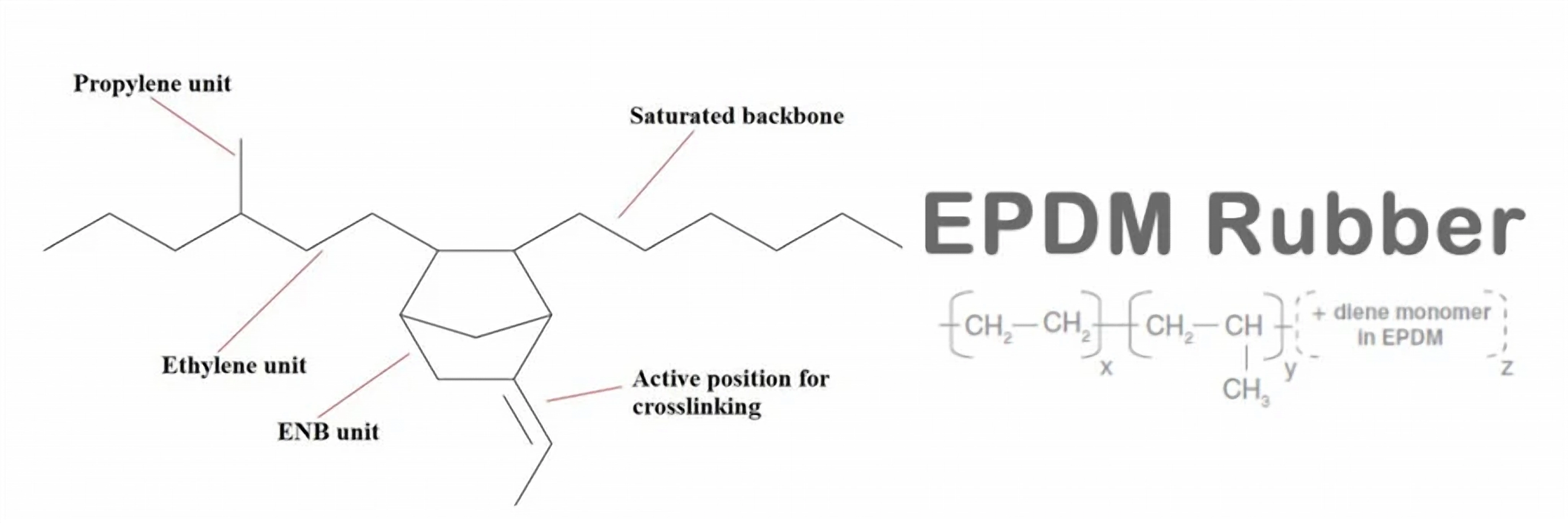 EPDM O-Rings Polymer Matrix & Formulation